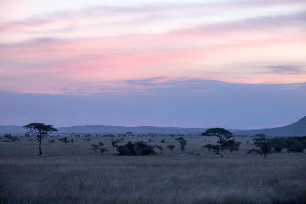 Pink Compass Safari Tansania Landschaft Sonnenuntergang