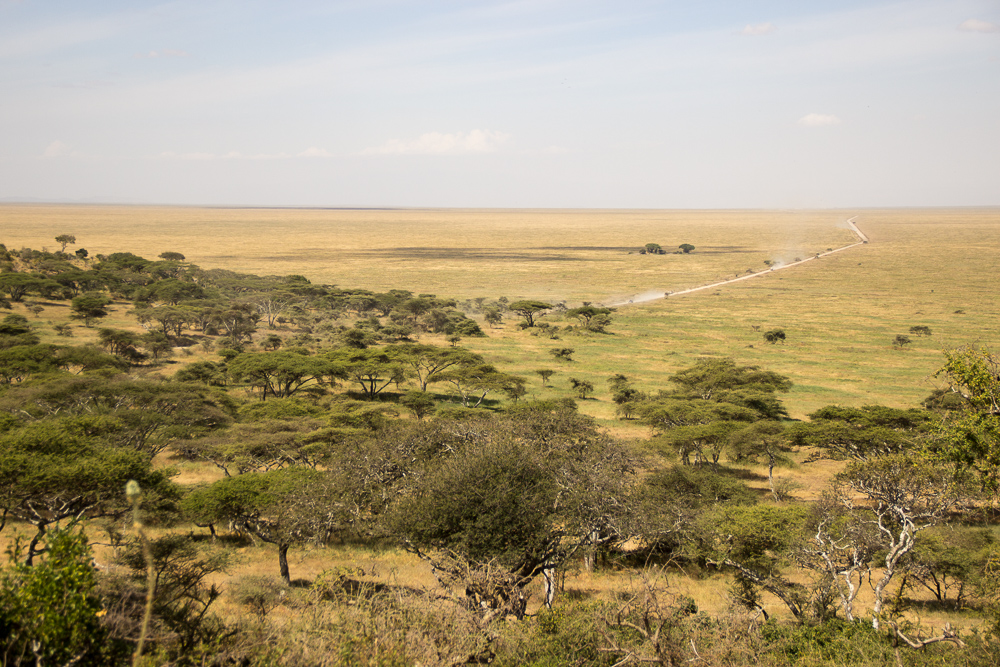 Gadventures Safari Tansania Landschaft